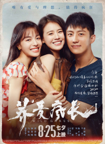欧美色视频免费高清播放